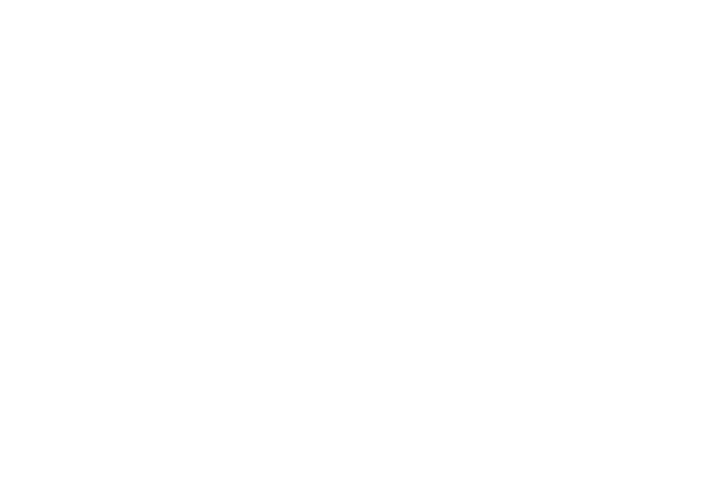 The View