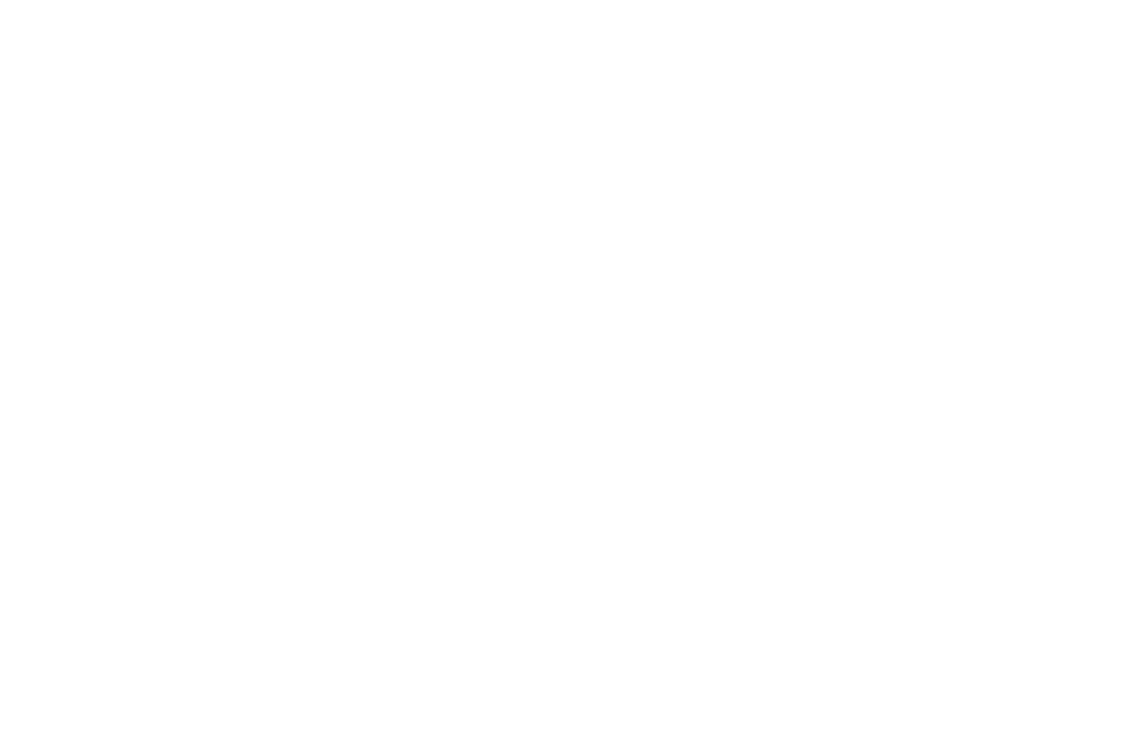 The View