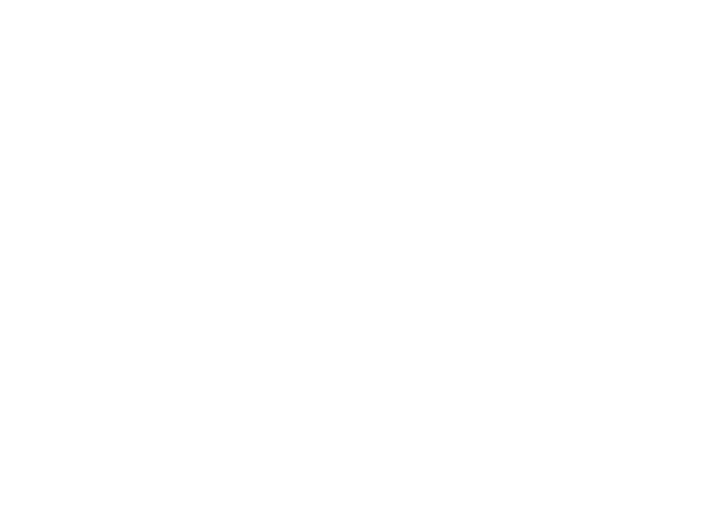 The Villa